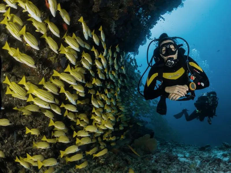 Underwater ROV